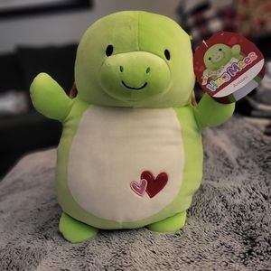 Squishmallow  Hugmees  Turtle Anton